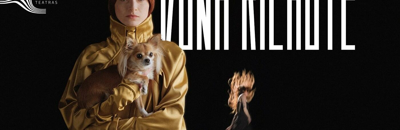 Dona Kichotė: šiuolaikinė kovotoja ar besiaukojanti madona?