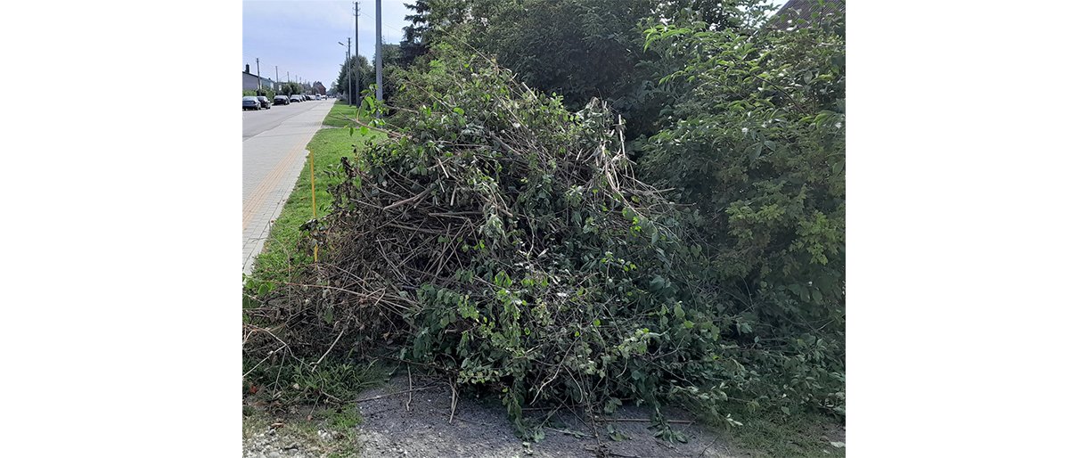 Gyventojams primenama: tvarkant privačius sklypus, būtina atsižvelgti ir į komunalinių atliekų išvežimo grafikus