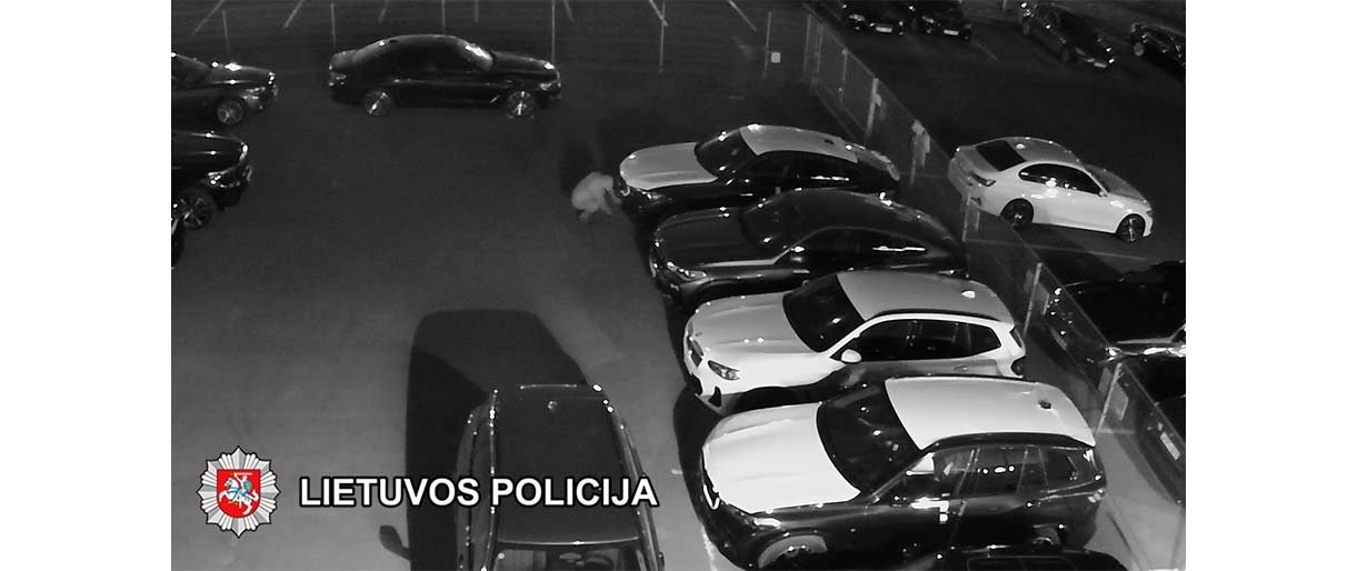 Teismui perduota byla dėl Klaipėdos apskrityje iš automobilių BMW pavogtų detalių
