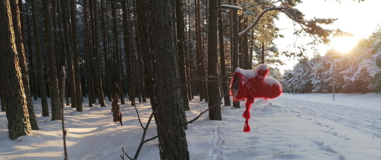 Artėja dideli šalčiai – pasirūpinkite savo namų saugumu
