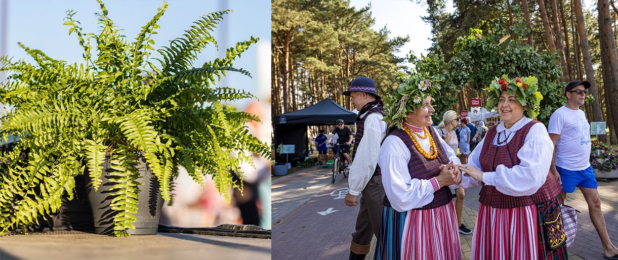 Joninės Šventojoje: kur šiemet pražys paparčio žiedas?