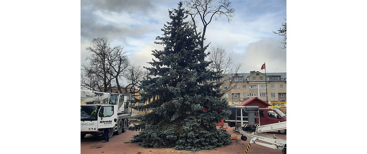 Į Kretingos Rotušės aikštę atkeliavo Kalėdų eglė (renginių programa)