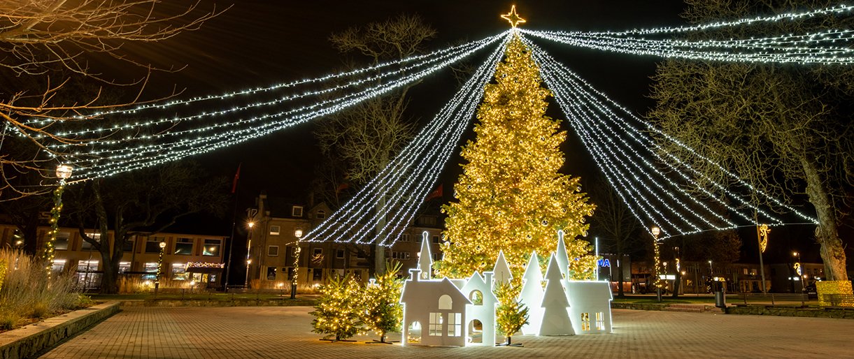 Kretingoje kalėdine šviesa sutvisko užburianti žaliaskarė