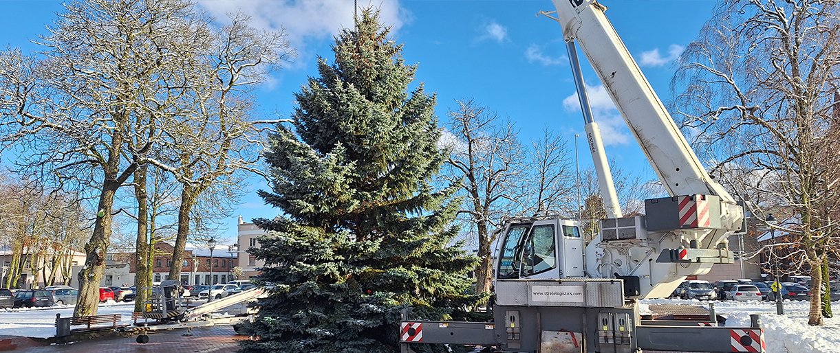 Į Kretingos Rotušės aikštę atkeliavo Kalėdų eglė