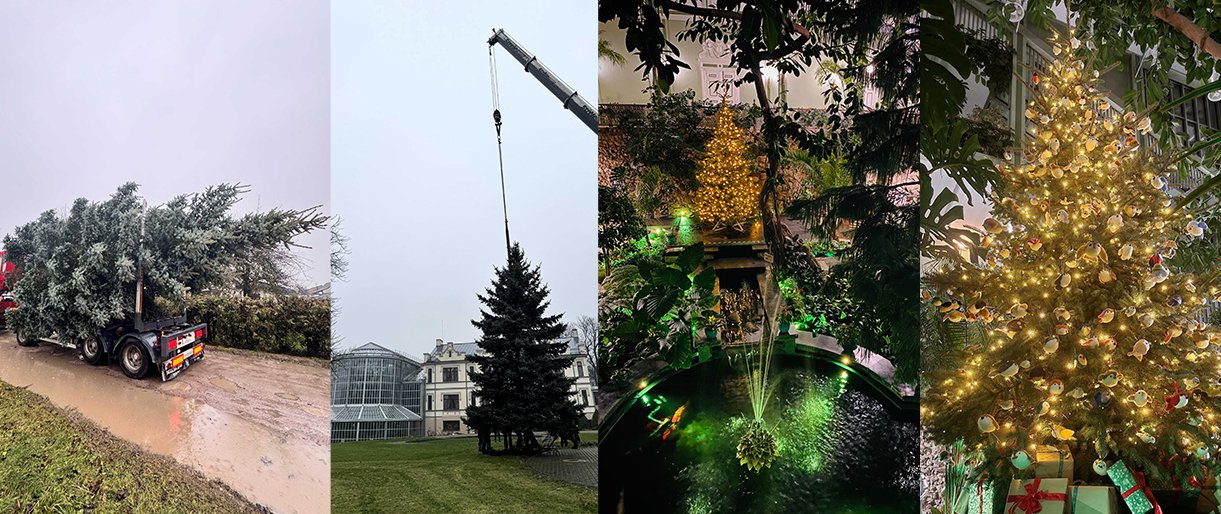 Kalėdinis gruodis Kretingos muziejuje bus puošnus ir turtingas kultūros renginiais