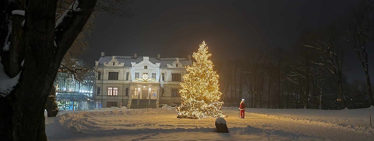 Žiemos sodo eglė pasipuošė Prezidentūros žaisliukais Žiemos sodo eglė pasipuošė Prezidentūros žaisliukais