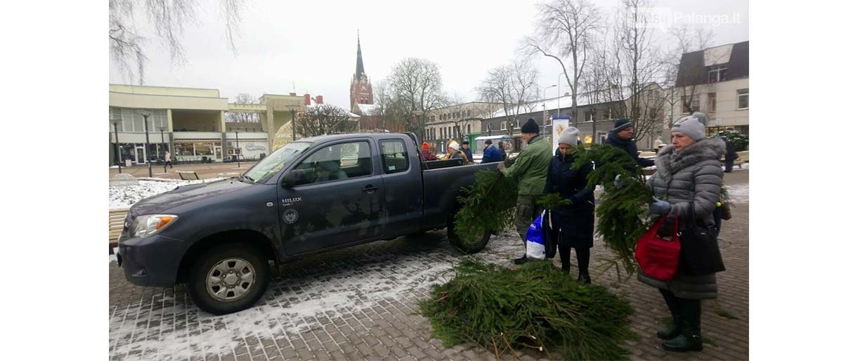 Miškininkai gruodžio 20 d. kaip ir kasmet kviečia parsinešti Kalėdas į savo namus