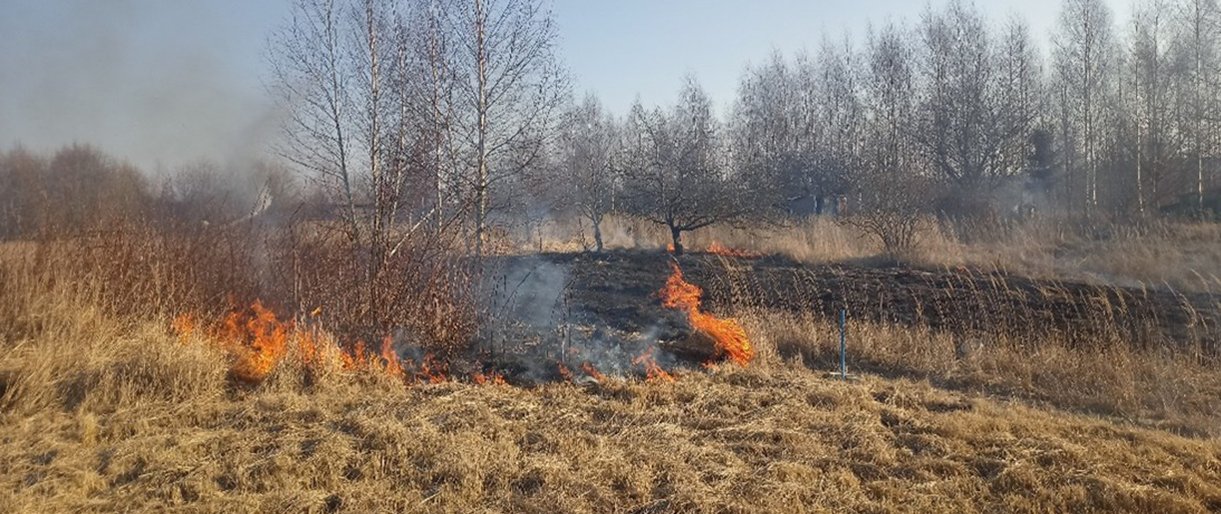 Baudos už žolės deginimą – ne vienintelė priežastis būti atsargiems