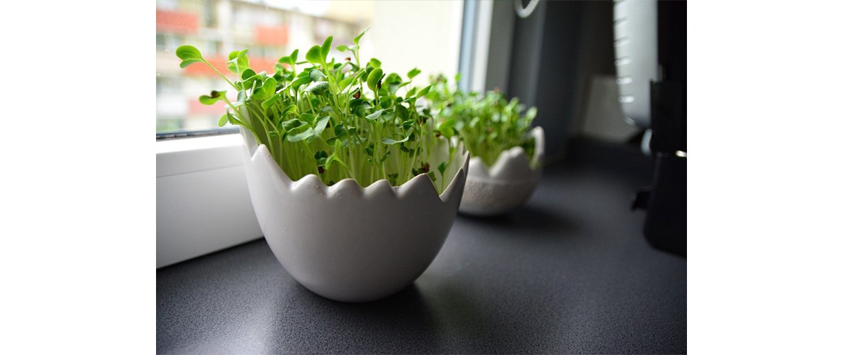 © Asociatyvi pixabay.com nuotr.