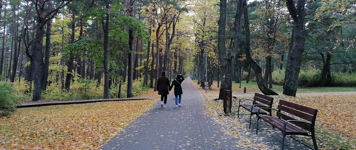 Tokią Palangą matęs ne kiekvienas – takais ir takeliais po neatrast... Tokią Palangą matęs ne kiekvienas – takais ir takeliais po neatrastas kurorto vietas