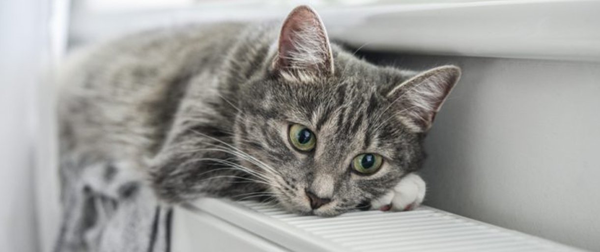 Gegužės 3 d. Palangos savivaldybėje skelbiama šildymo sezono pabaiga