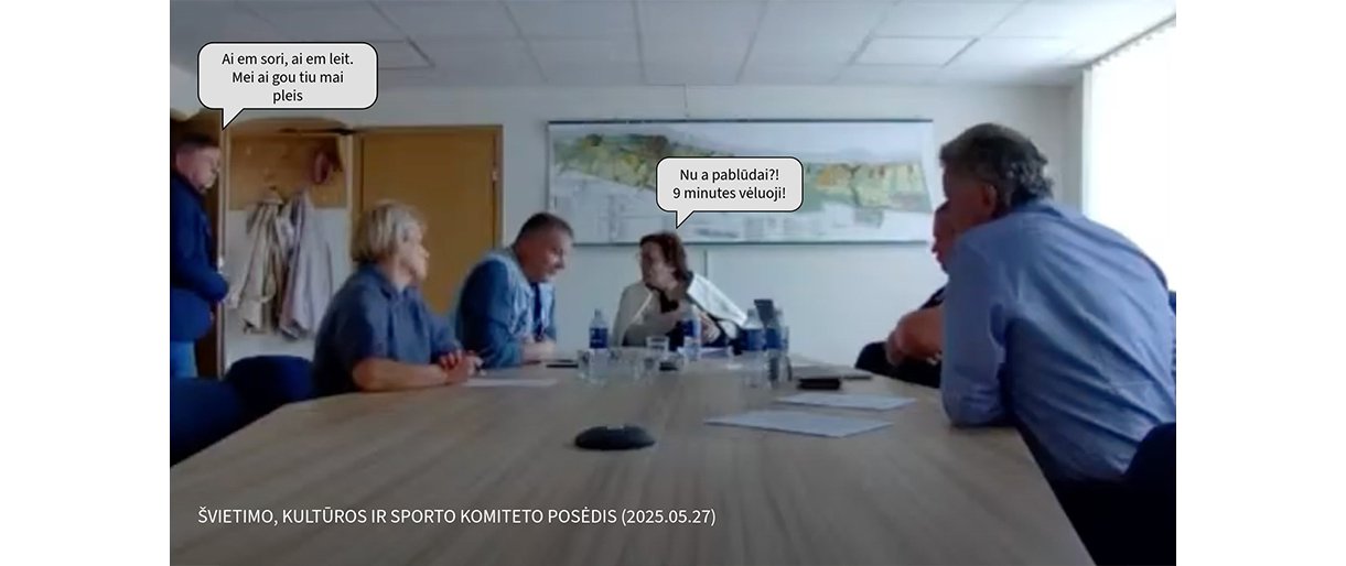 Komitetas per 20 min. – efektyvumas ar šou programa?