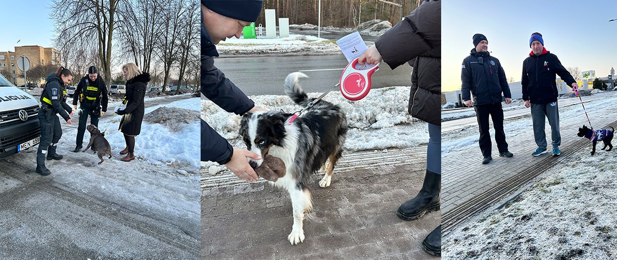 Palangos savivaldybė primena: vedžiodami gyvūnus nepamirškite aplinką palikti švarią