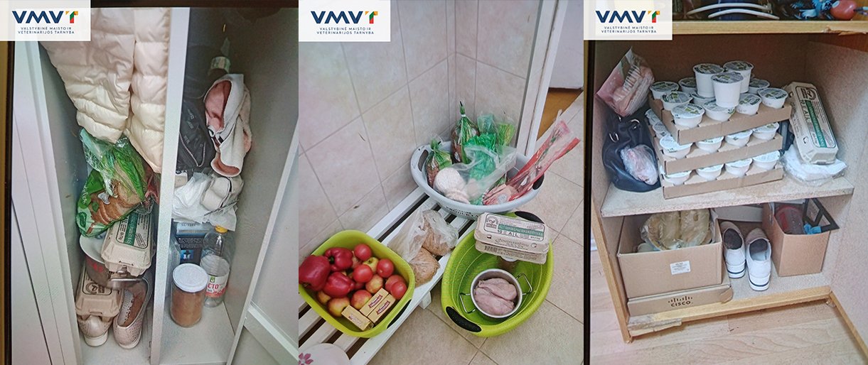 VMVT patikrinimas Palangos darželyje: paslėpti produktai ir maisto tvarkymo pažeidimai