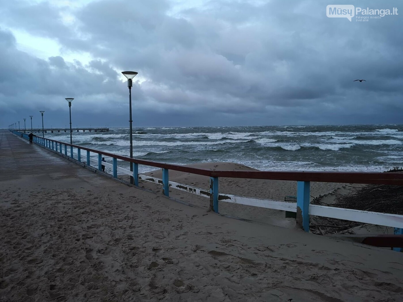 Palangą talžo uraganinis vėjas (vaizdo reportažas, nuotraukos), nuotrauka-3