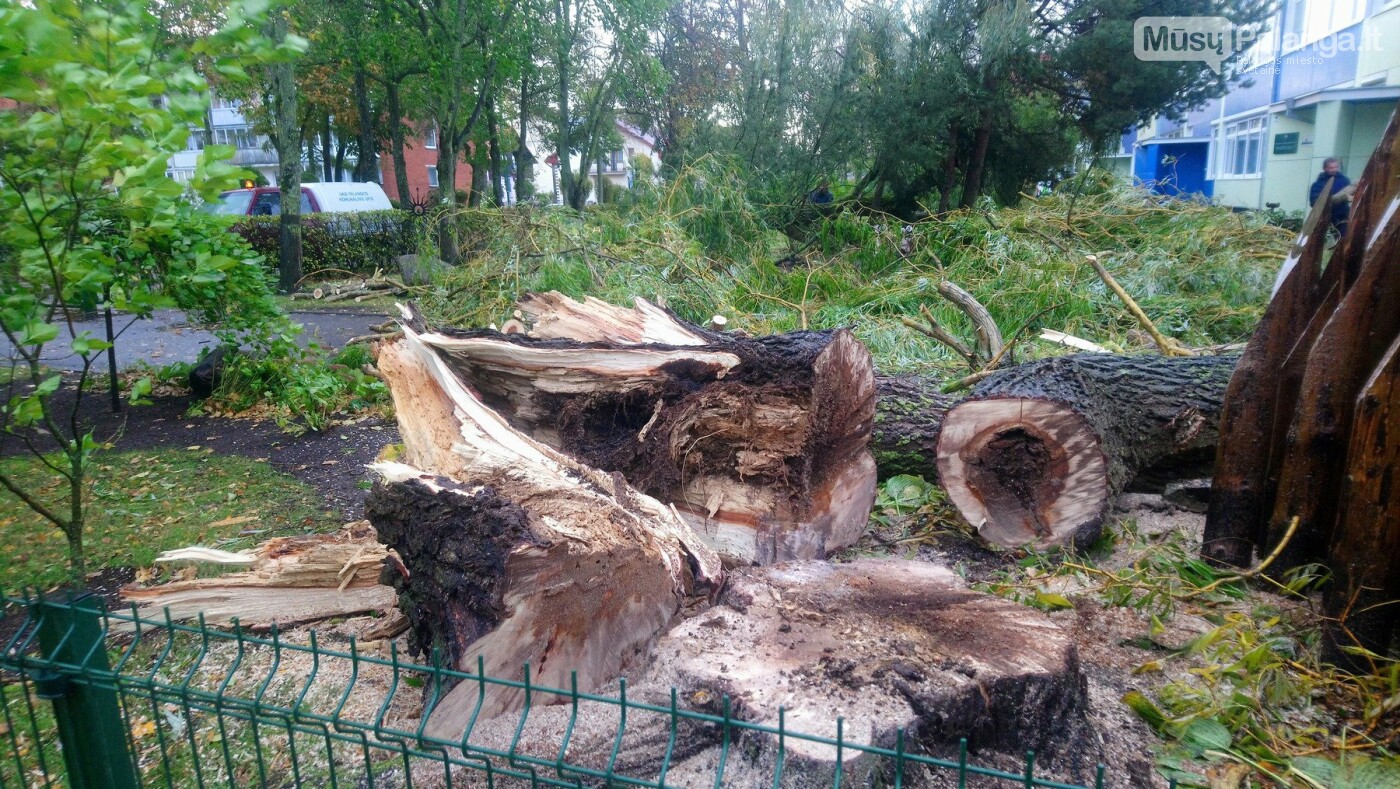 Palangą talžo uraganinis vėjas (vaizdo reportažas, nuotraukos), nuotrauka-11