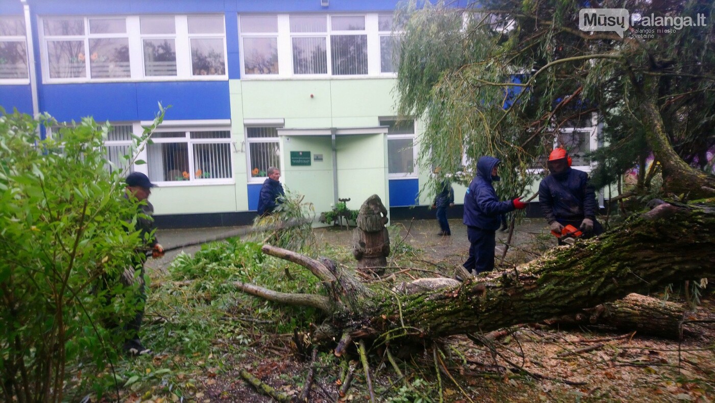 Palangą talžo uraganinis vėjas (vaizdo reportažas, nuotraukos), nuotrauka-6