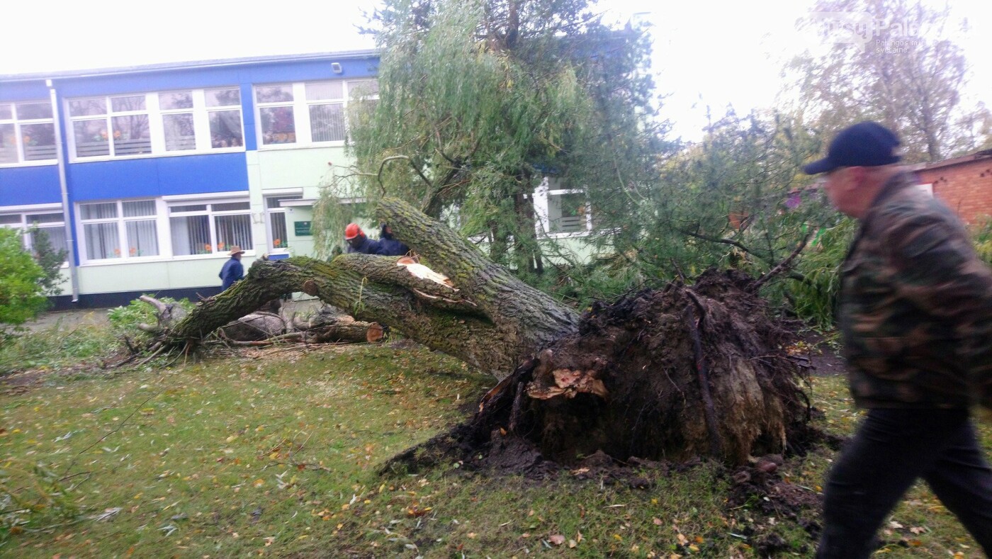 Palangą talžo uraganinis vėjas (vaizdo reportažas, nuotraukos), nuotrauka-7