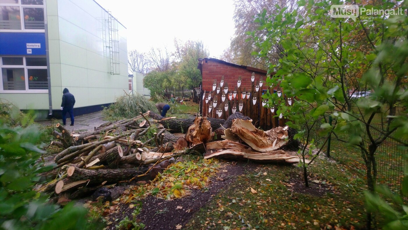 Palangą talžo uraganinis vėjas (vaizdo reportažas, nuotraukos), nuotrauka-12