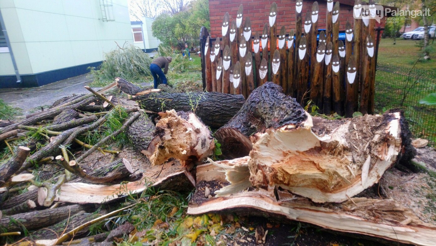 Palangą talžo uraganinis vėjas (vaizdo reportažas, nuotraukos), nuotrauka-13