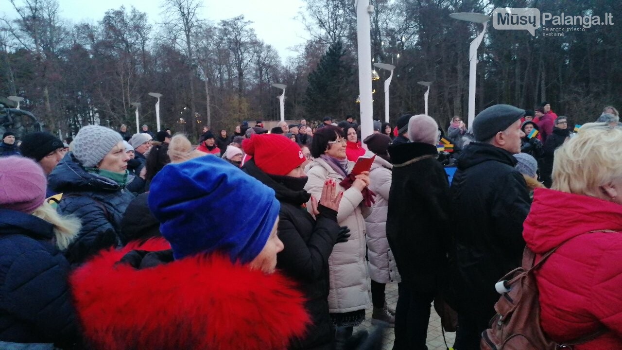 Palangoje vyko Ukrainos palaikymo solidarumo akcija, nuotrauka-5