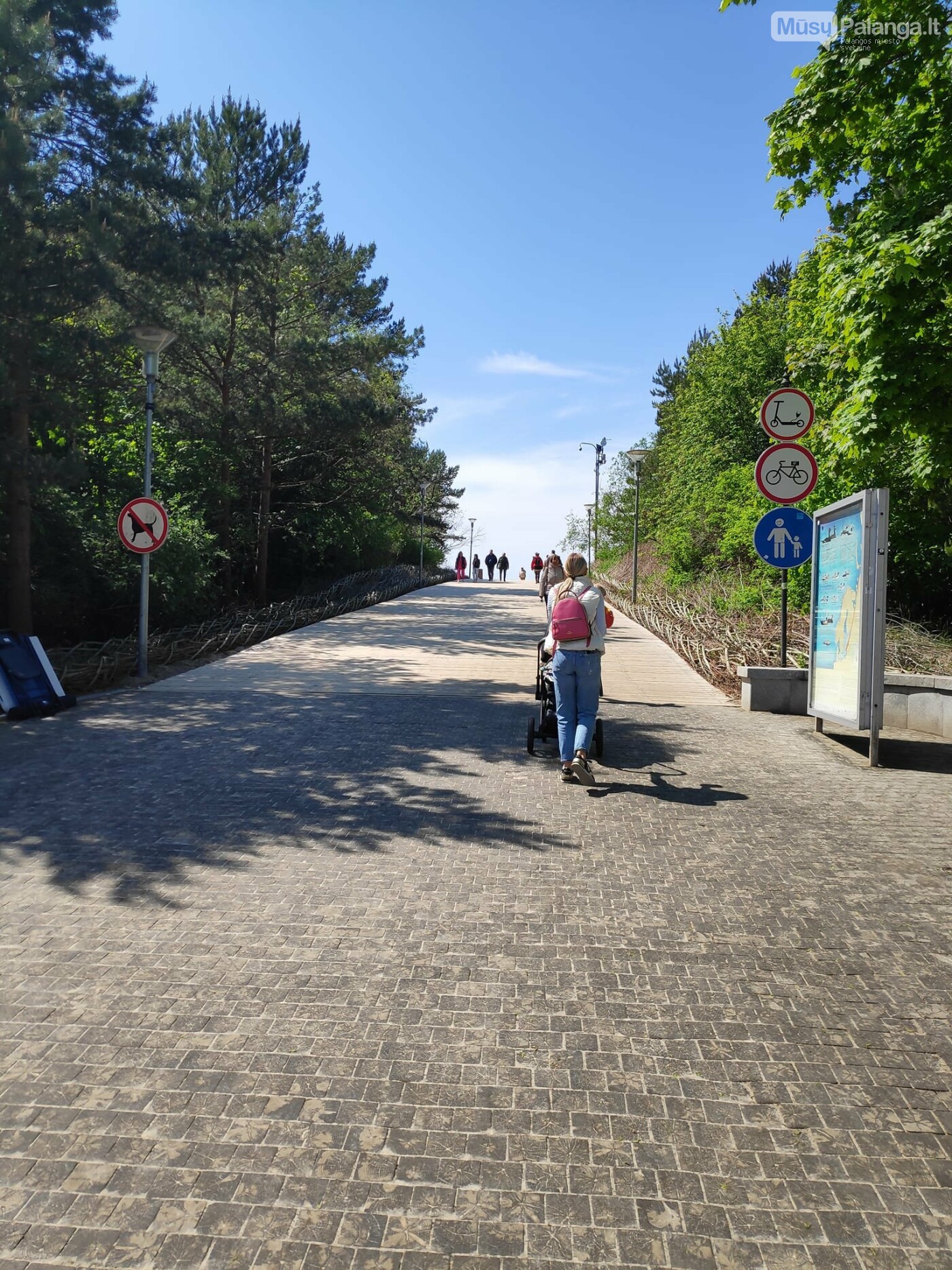 J. Basanavičiaus gatvėje vasarą draudžiamas dviračių ir elektrinių paspirtukų eismas, nuotrauka-2