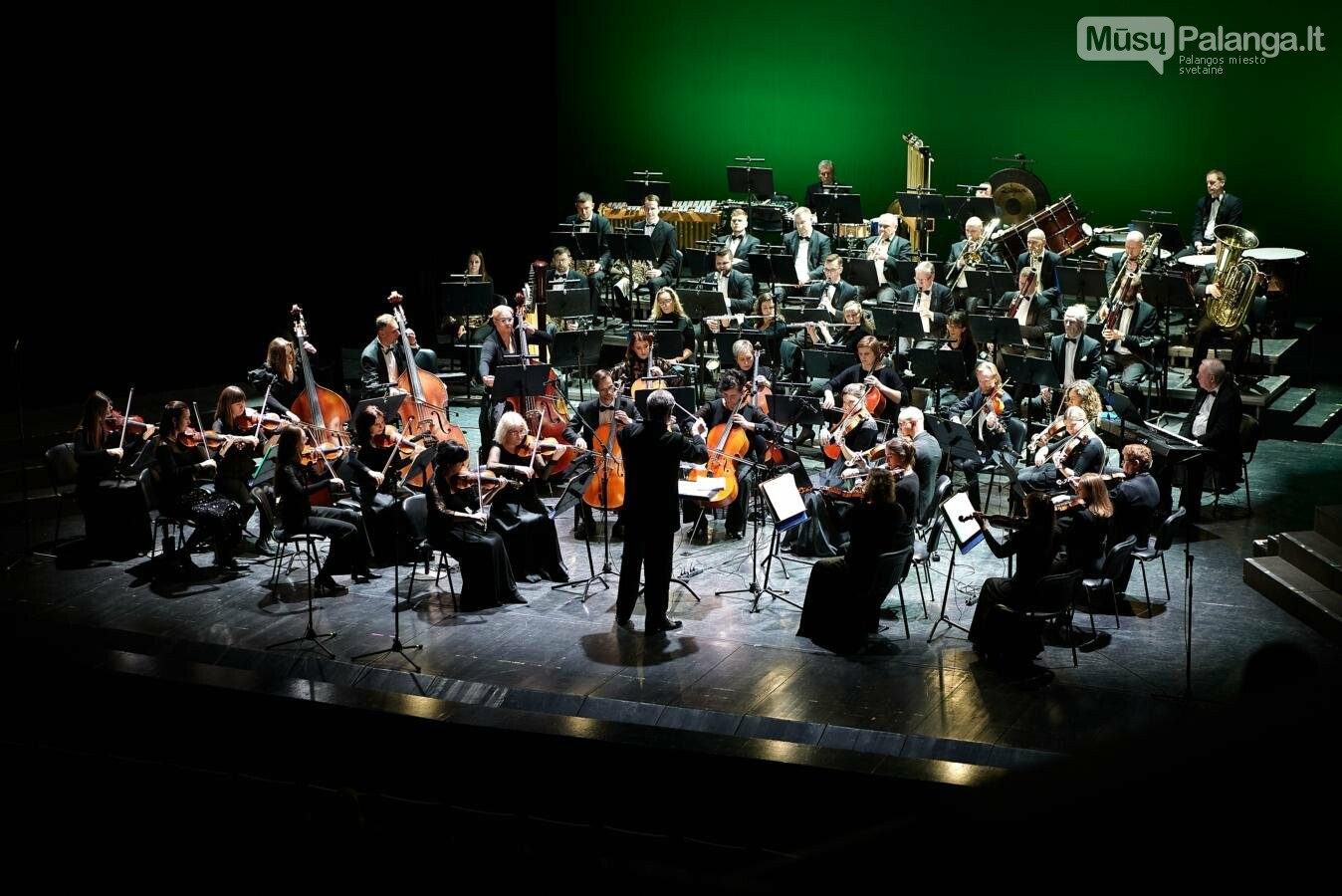 Klaipėdos valstybinio muzikinio teatro koncertas „Lietuviais esame mes gimę“. DKFOTO nuotr.