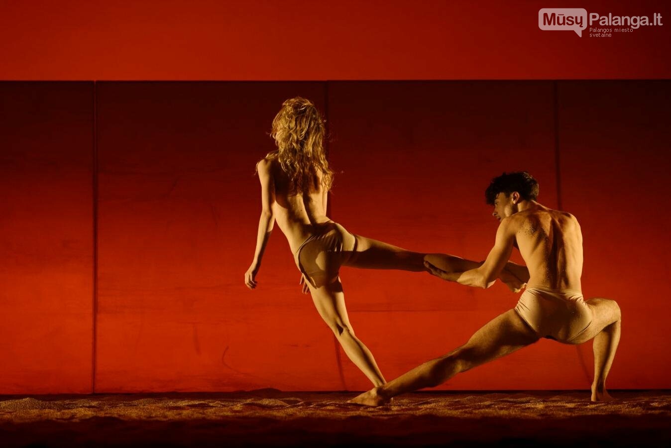 Scena iš šokio spektaklių triptiko „Dona Kichotė“, choreografas Gajus Žmavcas. Martyno Aleksos nuotr.