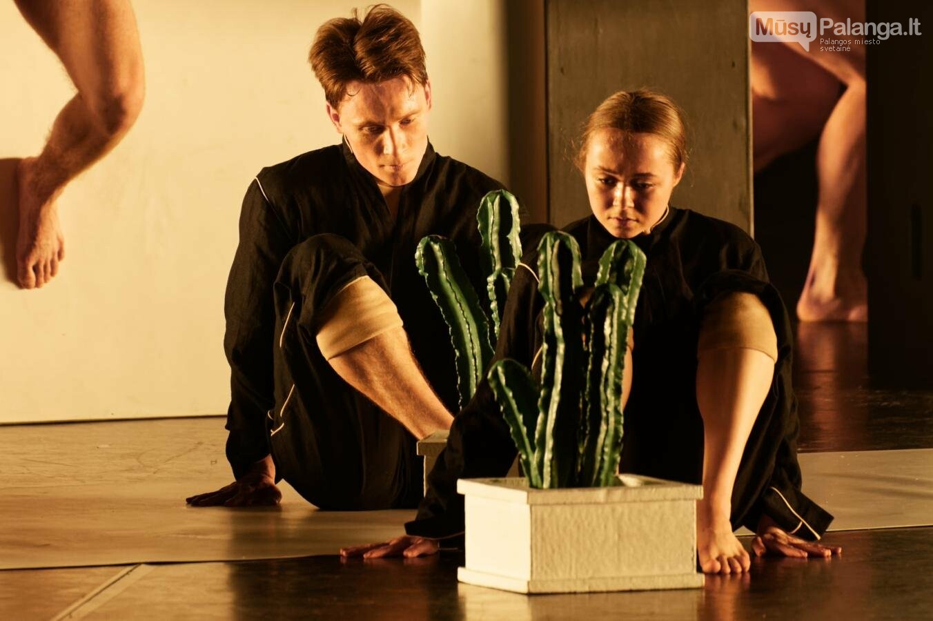 Choreografo A.Ekmano „Cacti“ (Kaktusai). M.Aleksos nuotr.