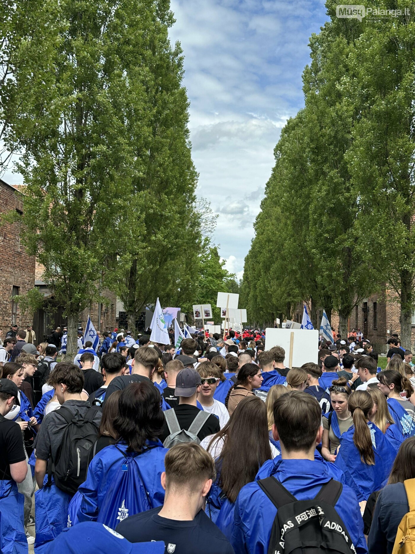 Palangiškiai Lenkijoje dalyvavo neeiliniame tarptautiniame renginyje - „Gyvųjų maršas“ , nuotrauka-4