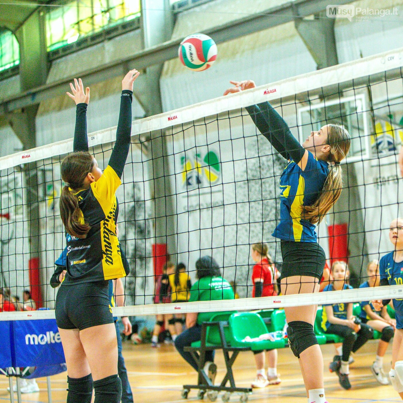 Tinklinio šventėje „RIO arenoje“ paaiškėjo jauniausi Lietuvos čempionai, nuotrauka-58