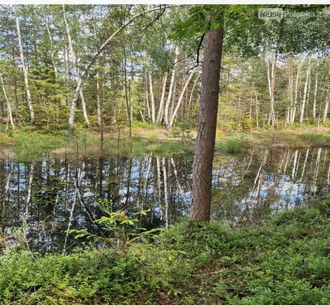 Roges ruošk vasarą: Mažeikiai kviečia į svečius pailsėti, nuotrauka-3