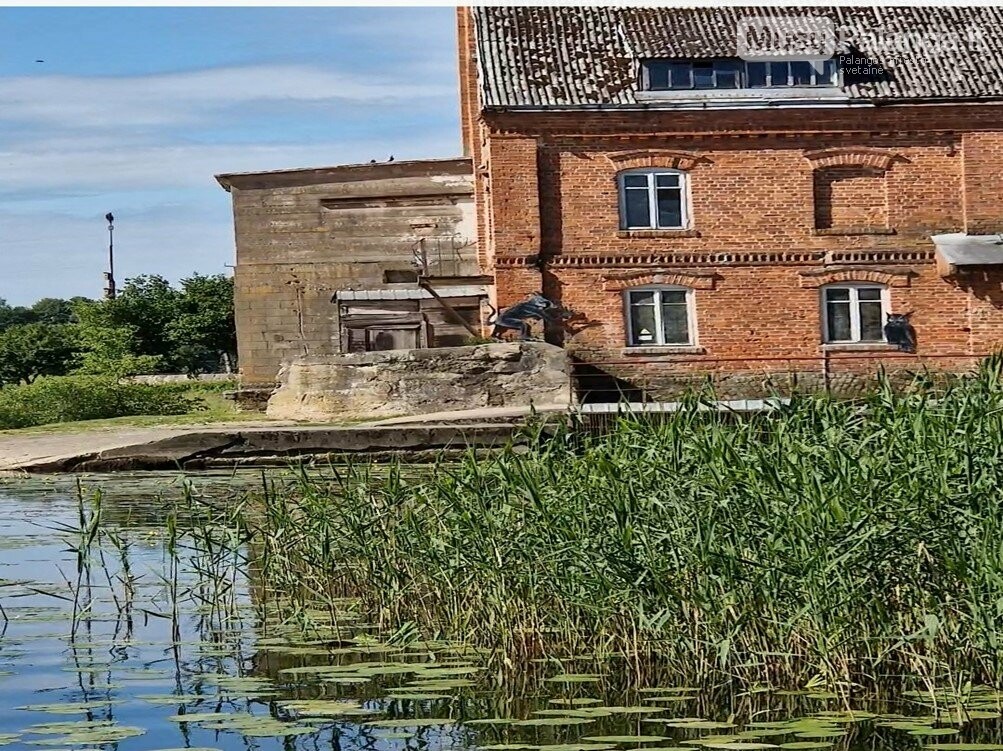 Roges ruošk vasarą: Mažeikiai kviečia į svečius pailsėti, nuotrauka-4