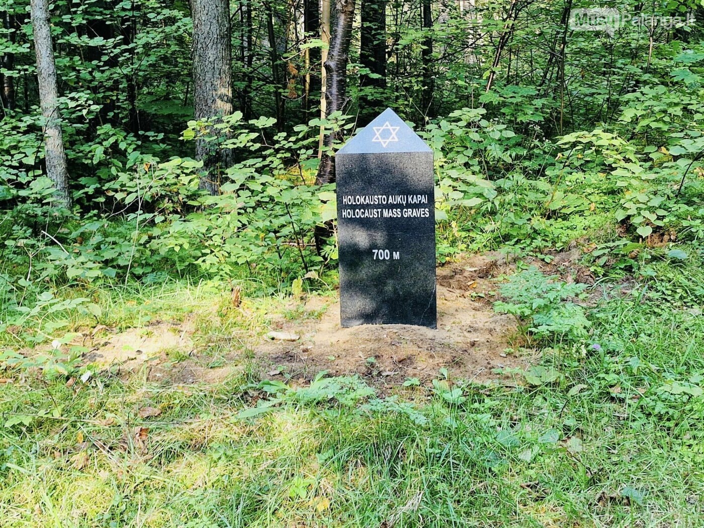 Lordo G. Džanerio marmurinis stulpas (stela), nurodantis žudynių vietos ir kapo kryptį ir atstumą Kunigiškių miške