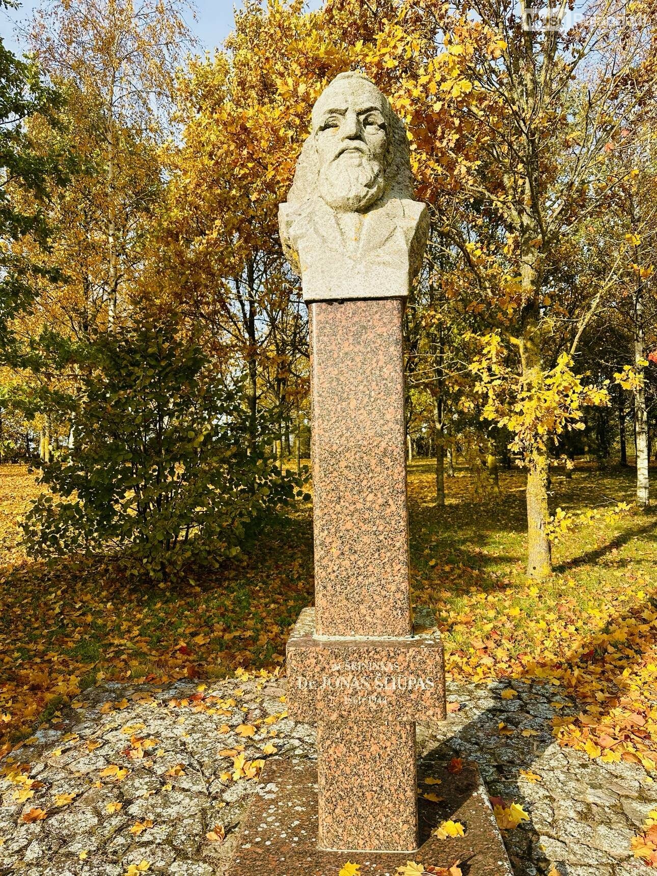 Jono Šliūpo biustas gimtinėje Šiupyliuose, Šiaulių rajone. Fotografas Mindaugas Surblys