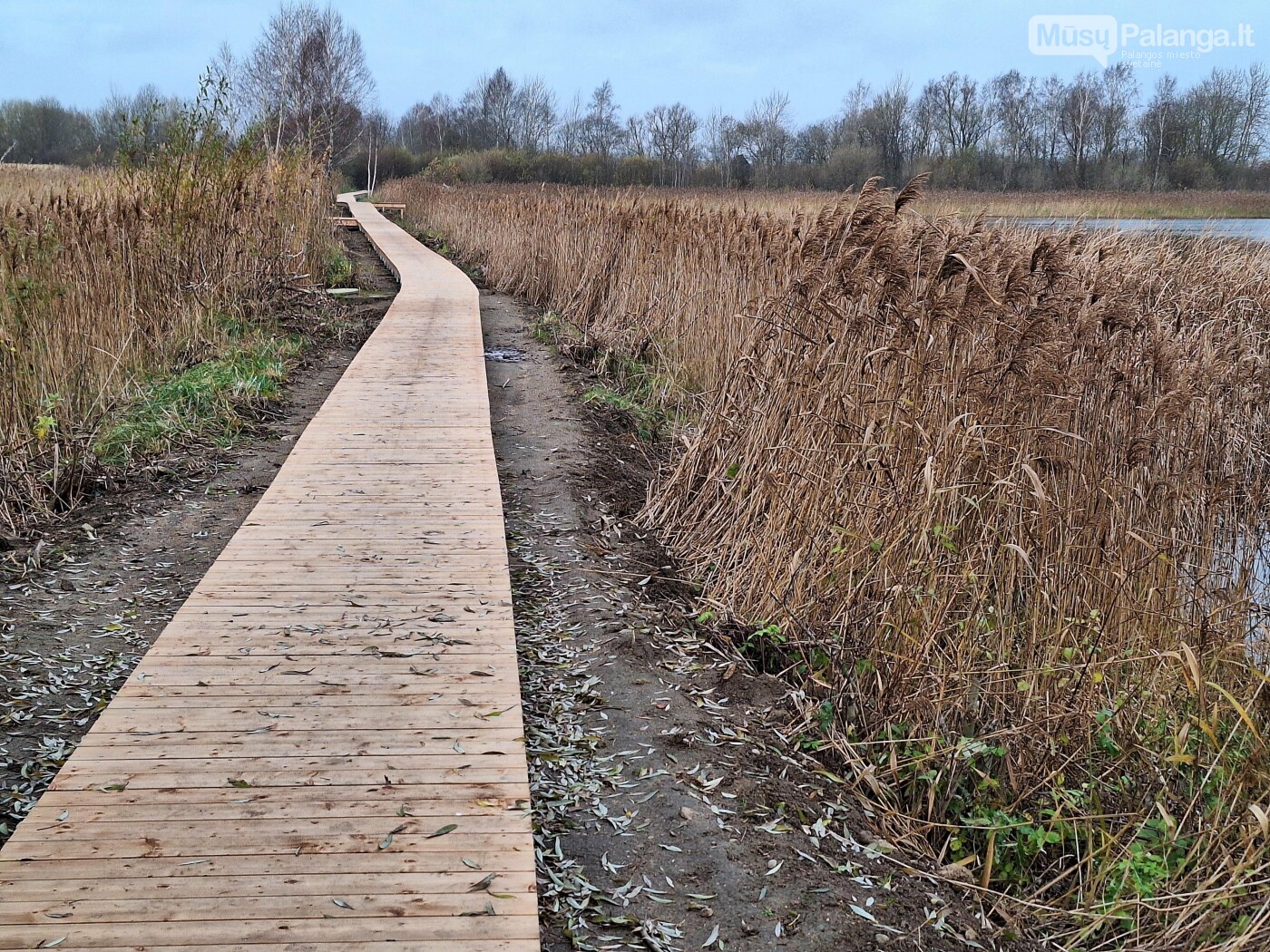 Įgyvendinus pirmąjį šiųmetį Gyventojų iniciatyvų projektą, Vydmantuose įrengtas pėsčiųjų takas, nuotrauka-1