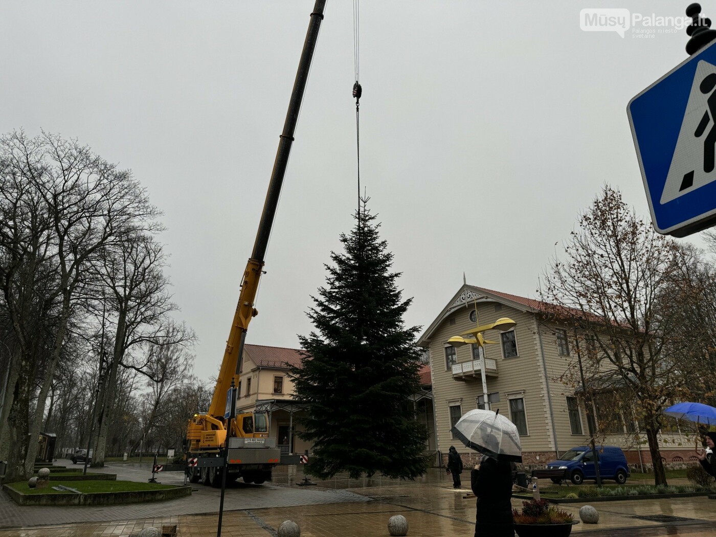 Ringailės Juozapavičiūtės nuotr.