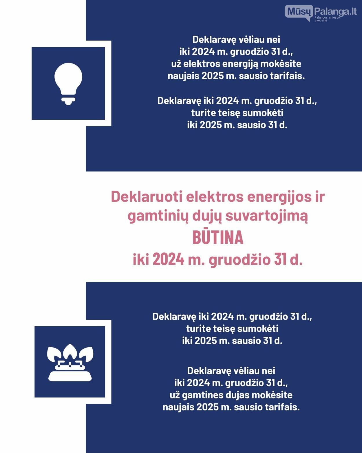 VERT primena – elektros ir dujų suvartojimą deklaruokite iki 2024 m. gruodžio 31 d. imtinai, nuotrauka-1