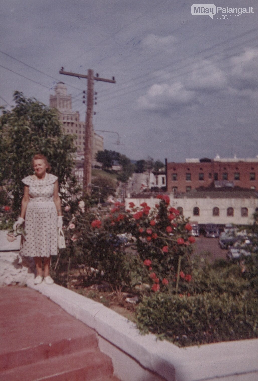 Grasilda Grauslytė-Šliūpienė, 1963 m. / Nuotraukos iš Vilniaus universiteto, Šiaulių akademijos Informacijos centro, Aušrininko dr. Jono Šliūpo archyvo.