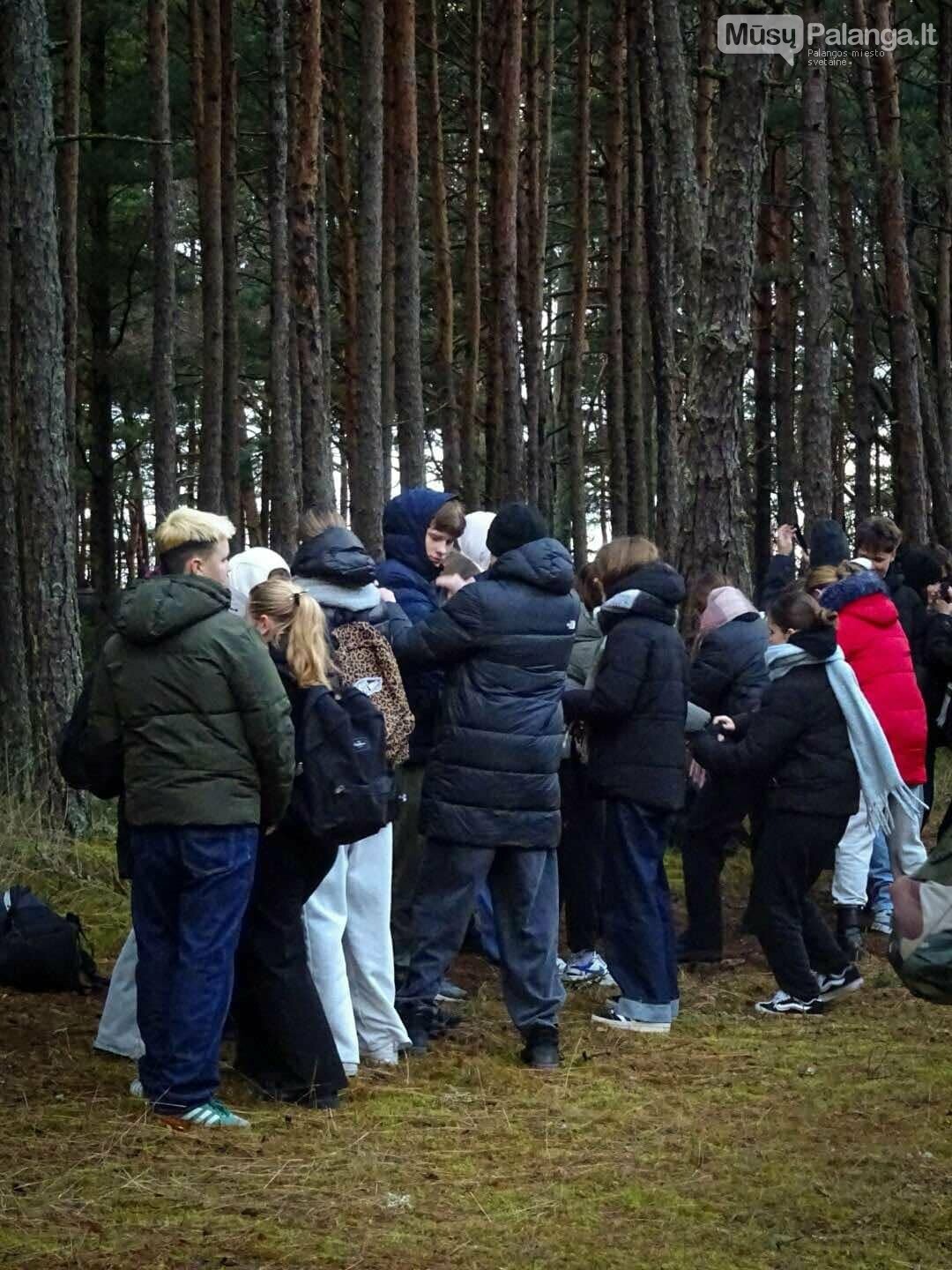 Gimnazistės Donatos Kontrimaitės (II E kl.) nuotr.