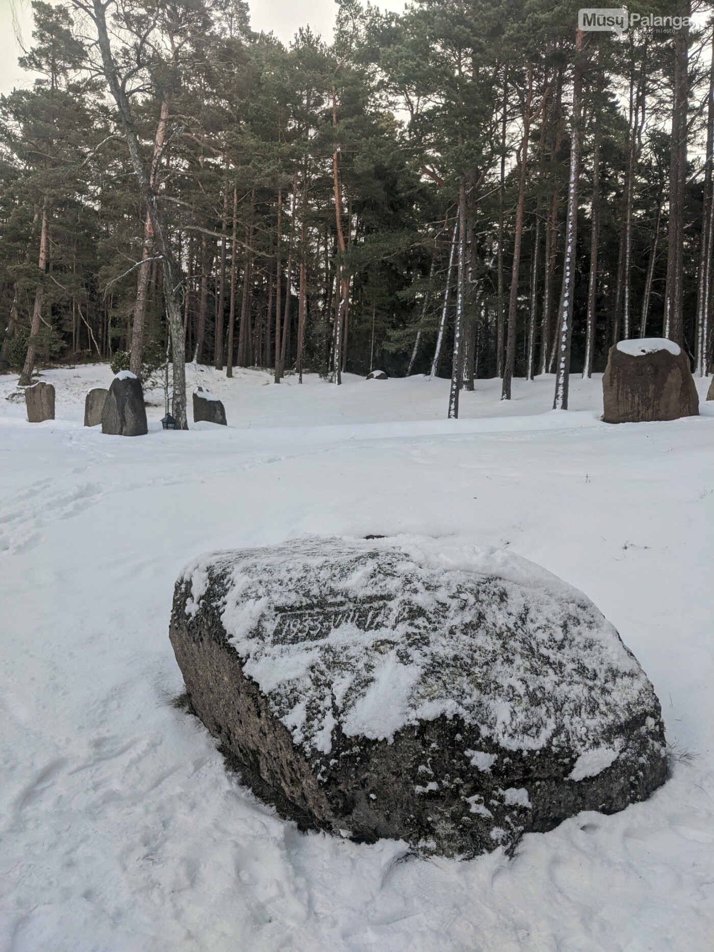 Skautų slėnio akmenynas su skautų akmeniu Palangoje