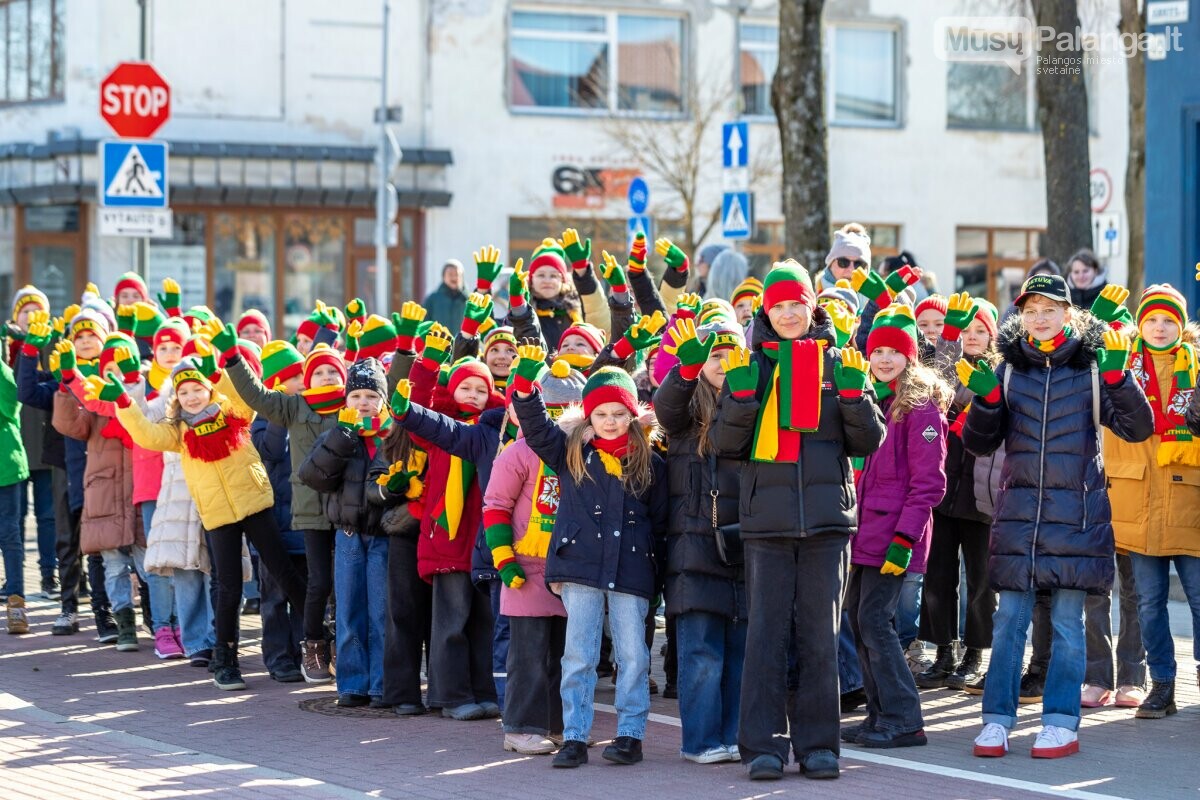 Kovo 11-osios minėjimas Palangoje: 35 laisvės pievos, nuotrauka-1