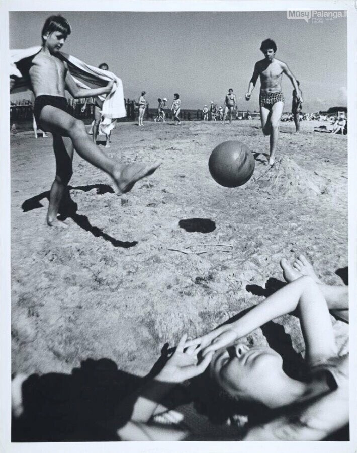 Aleksandras Macijauskas. Vasara. 1981m.