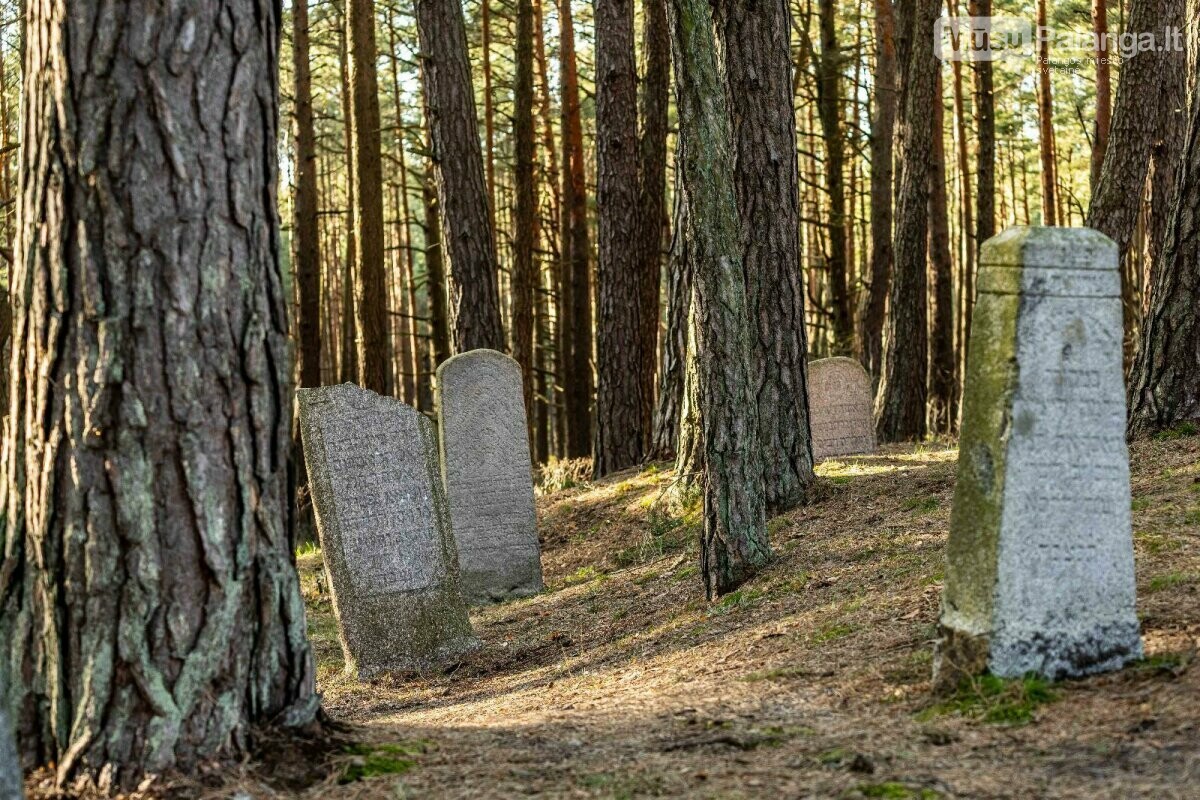 Nuotraukų autorius: Wojtkielewicz Wojciech