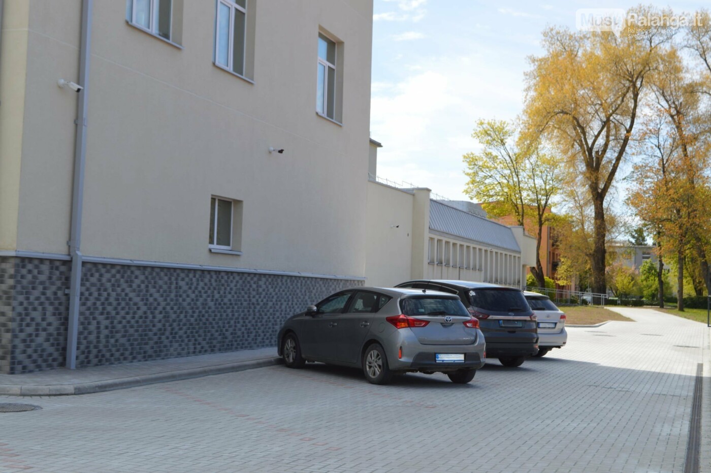 Atnaujinta Senosios gimnazijos aplinka – jaukumas, patogumas ir tvarumas vienoje vietoje, nuotrauka-6