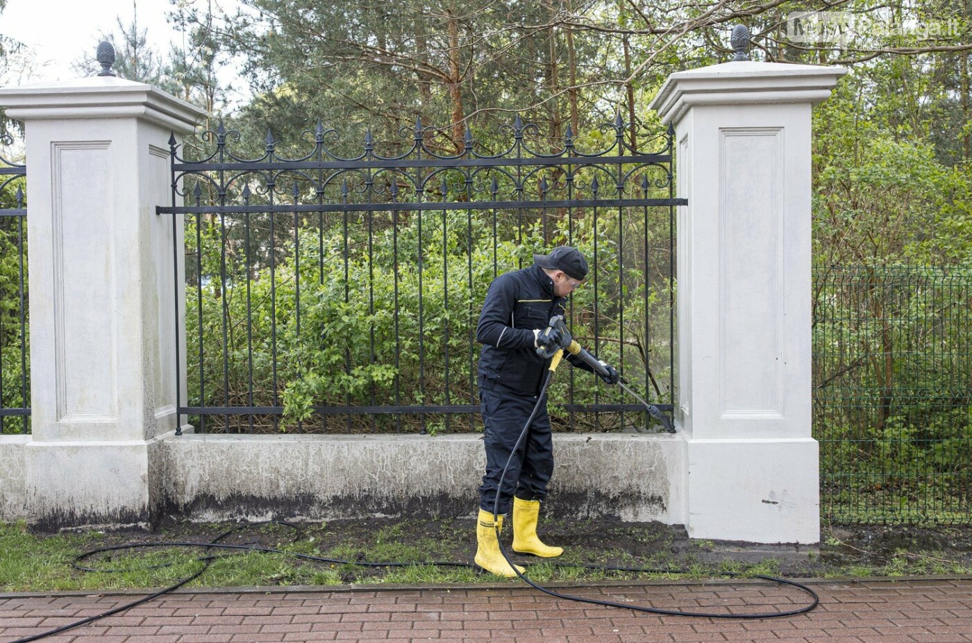 Palangos botanikos parkas ir gintaro muziejus naująjį sezoną pasitiko ypatinga švara, nuotrauka-3