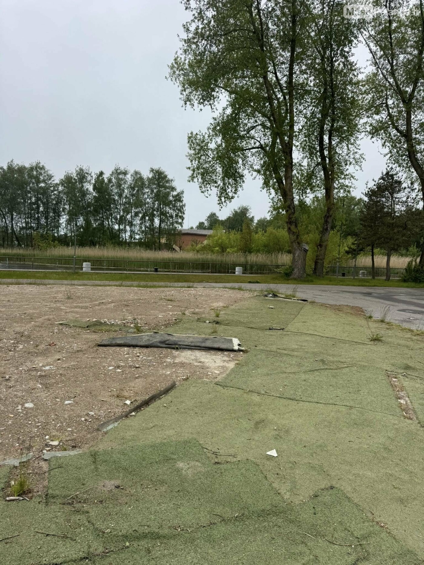 Pramogos už tylos kainą: Šventosios uoste – triukšminga neteisybė, nuotrauka-4