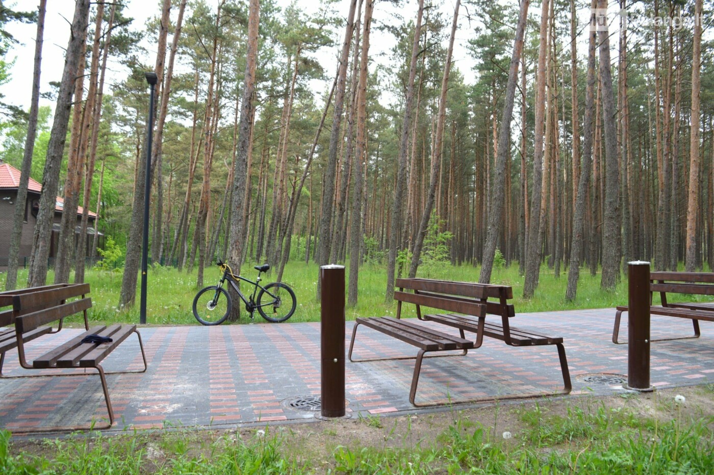 Palangos paplūdimiai – visiškai parengti aktyviajam kurortiniam sezonui, nuotrauka-7