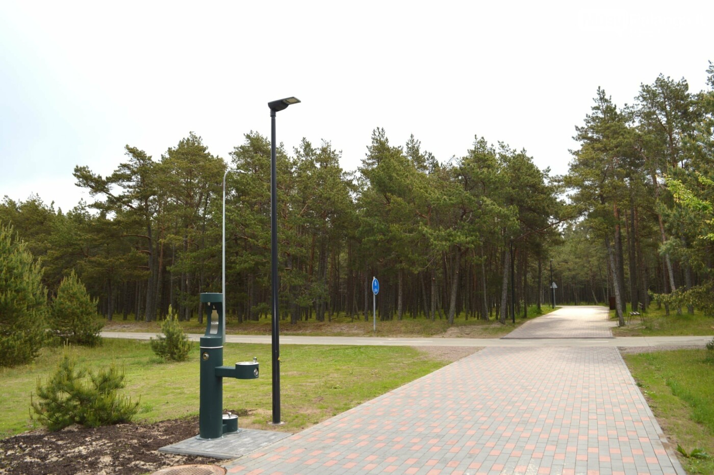 Palangos paplūdimiai – visiškai parengti aktyviajam kurortiniam sezonui, nuotrauka-3