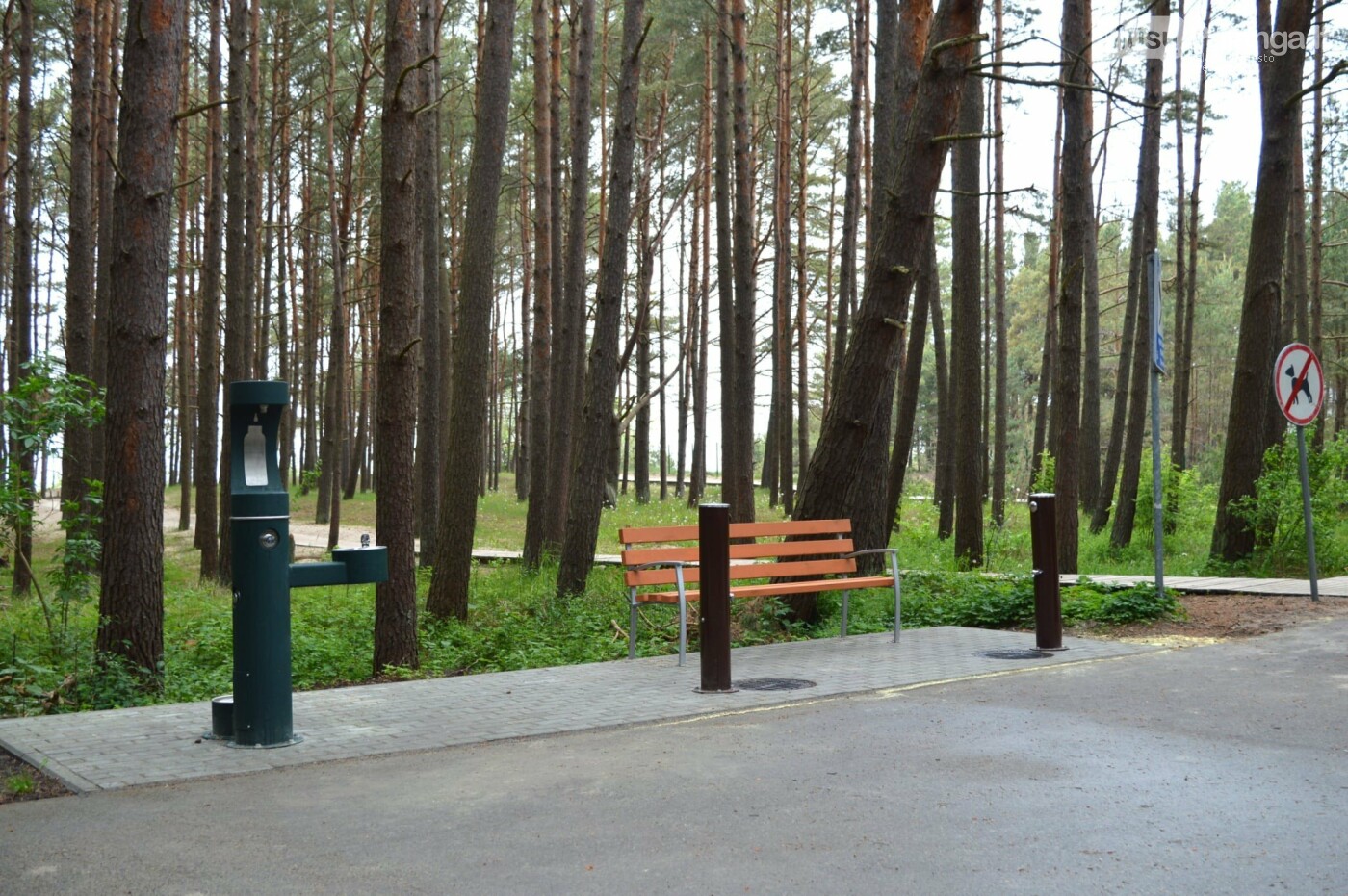 Palangos paplūdimiai – visiškai parengti aktyviajam kurortiniam sezonui, nuotrauka-8